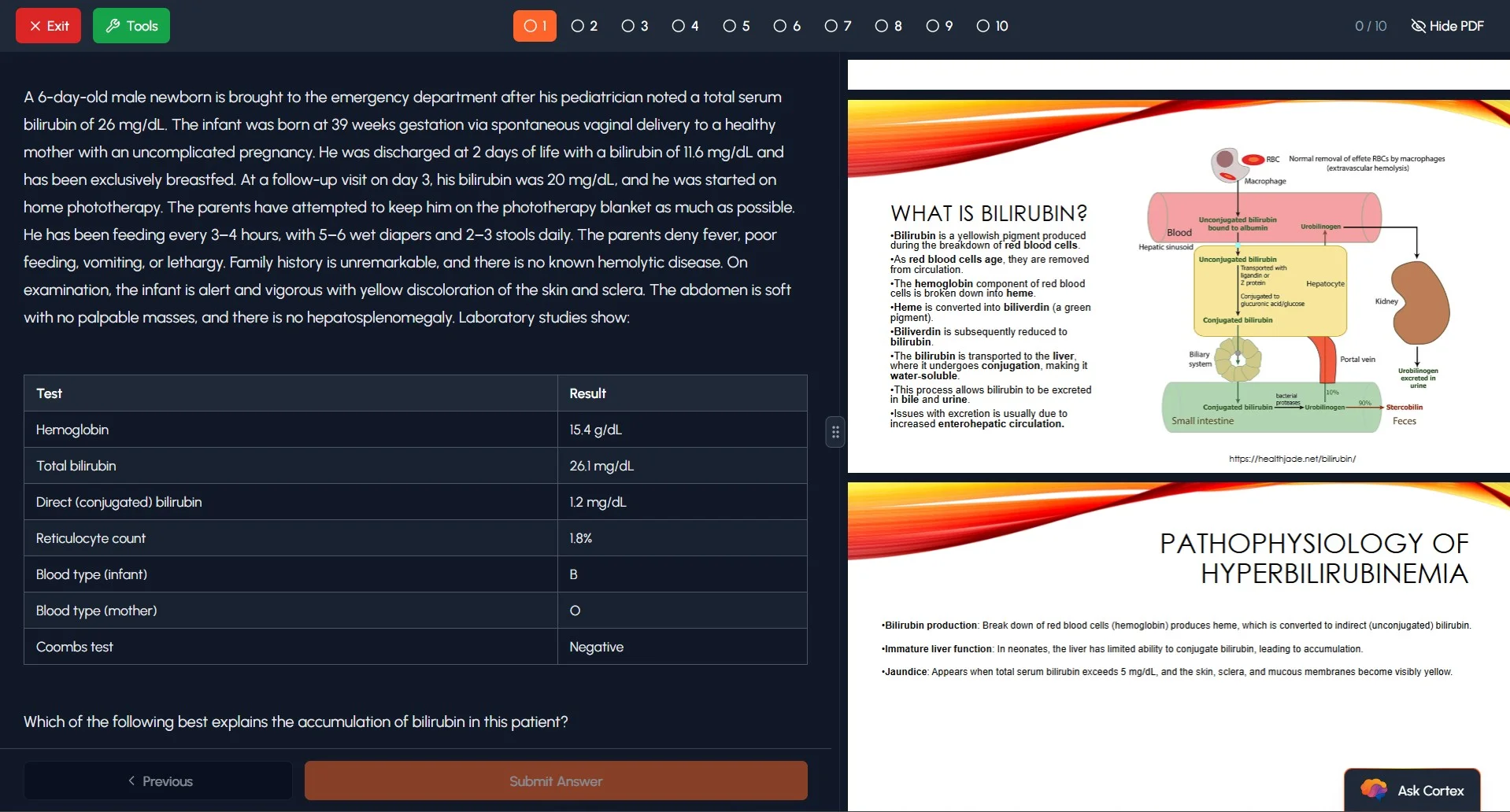 USMLE prep study session showing AI-generated practice questions from medical school lectures